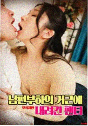 卡卡罗特角色立绘